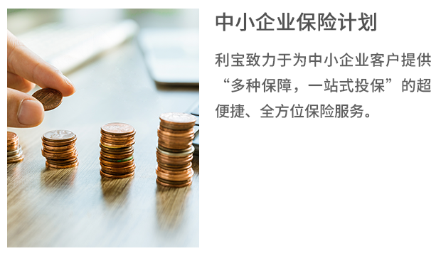 10-SME Insurance Program_-yxxa.png